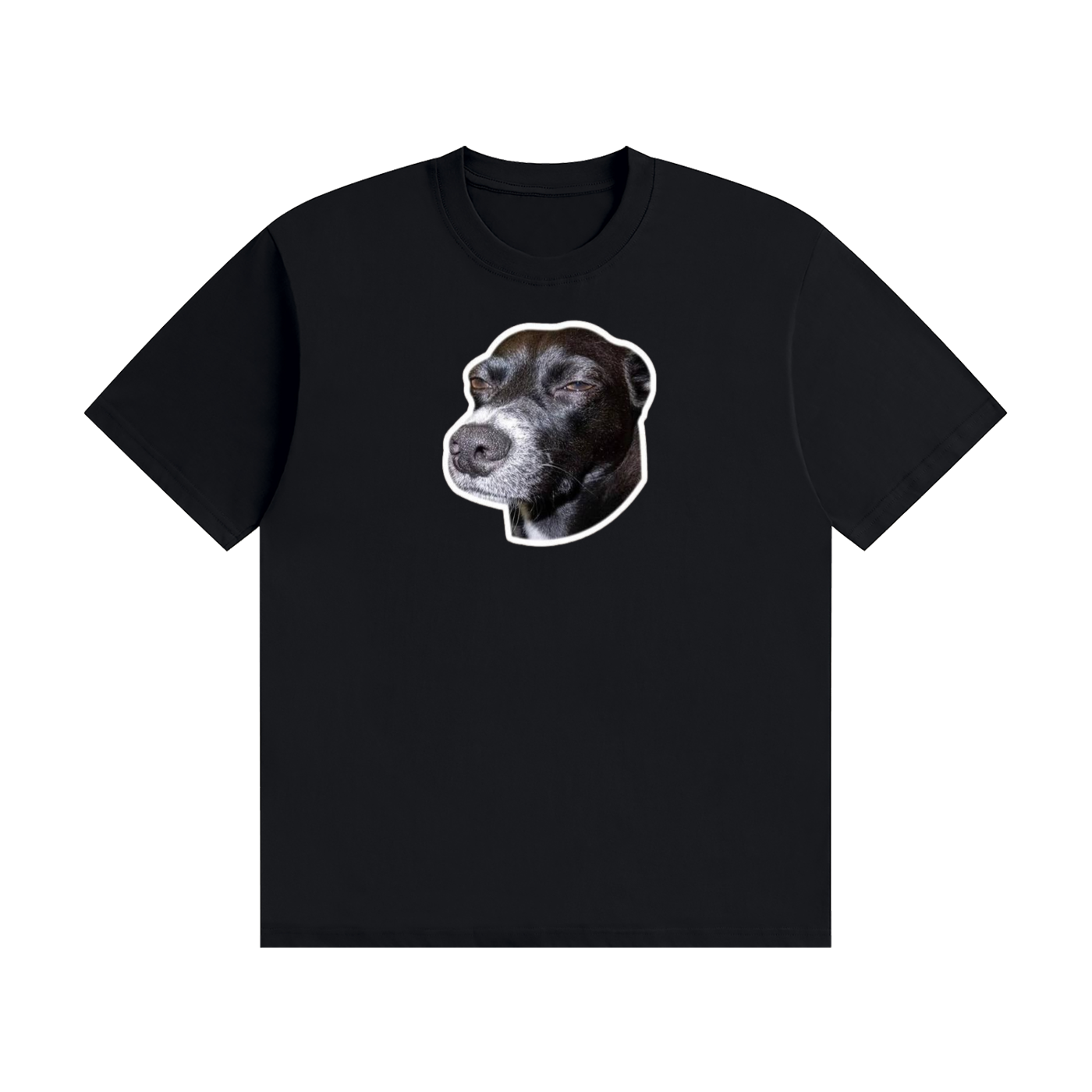 Funnydogshirts
