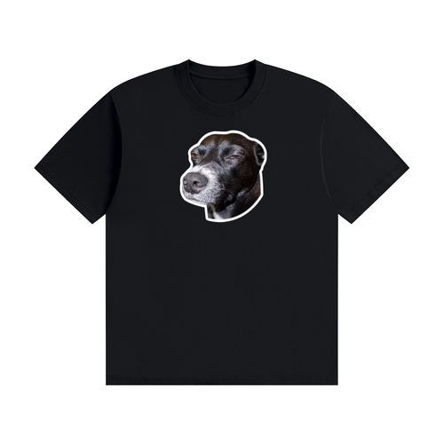 Funnydogshirts