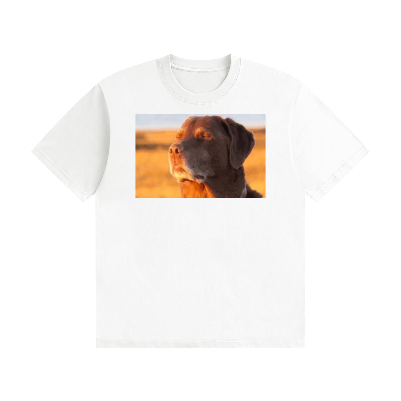Dog Enjoying The Sun Unisex Seamless Cotton T-Shirt