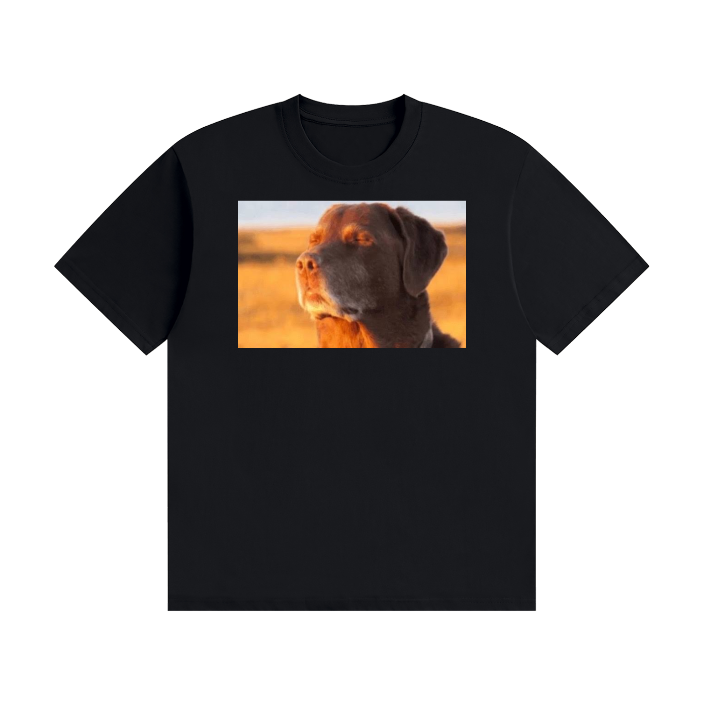 Dog Enjoying The Sun Unisex Seamless Cotton T-Shirt